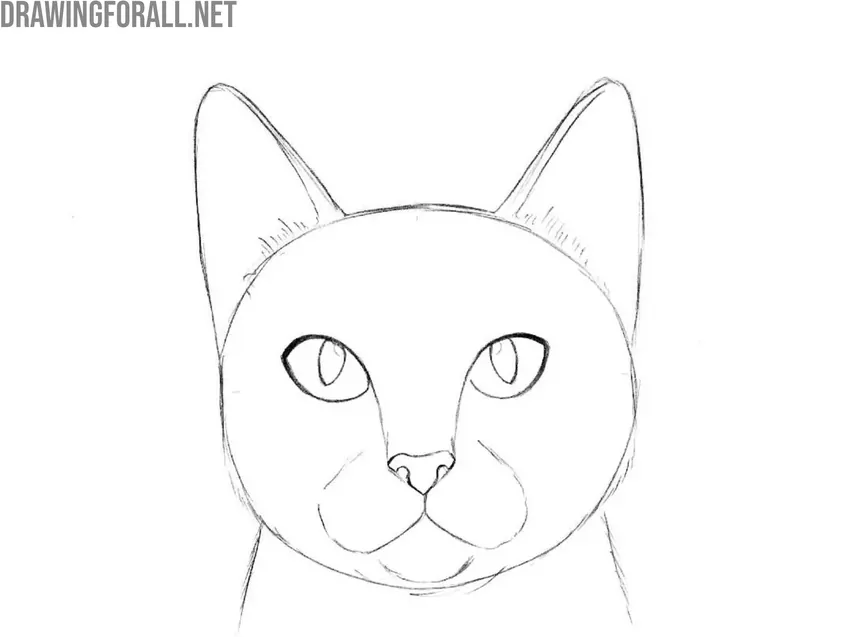 Clean up the face outlines