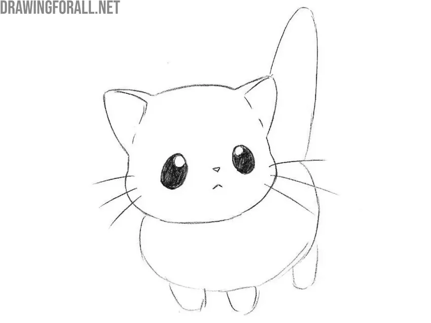 Trace the head and whiskers