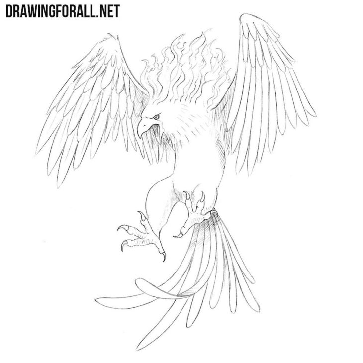how to draw a Phoenix | Drawingforall.net