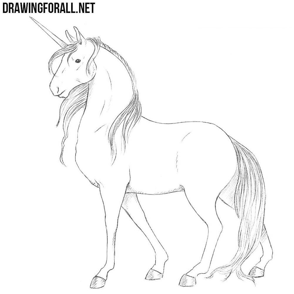 How To Draw A Sky Unicorn, Step by Step, Drawing Guide, by Dawn - DragoArt