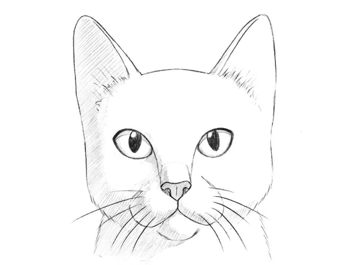 how to draw a cat head featured image