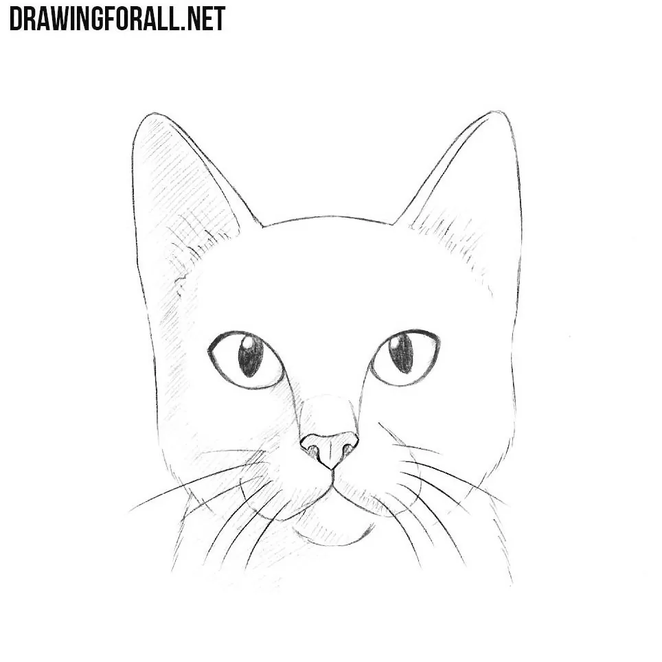 Cute Adorable Animal Cat Drawing · Creative Fabrica