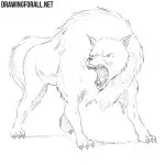 How to Draw a Dire Wolf