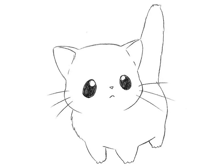 how to draw chibi cat for kids