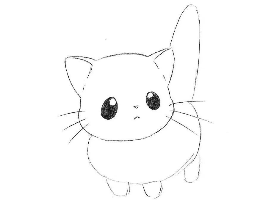 Cute Anime Cat Drawing