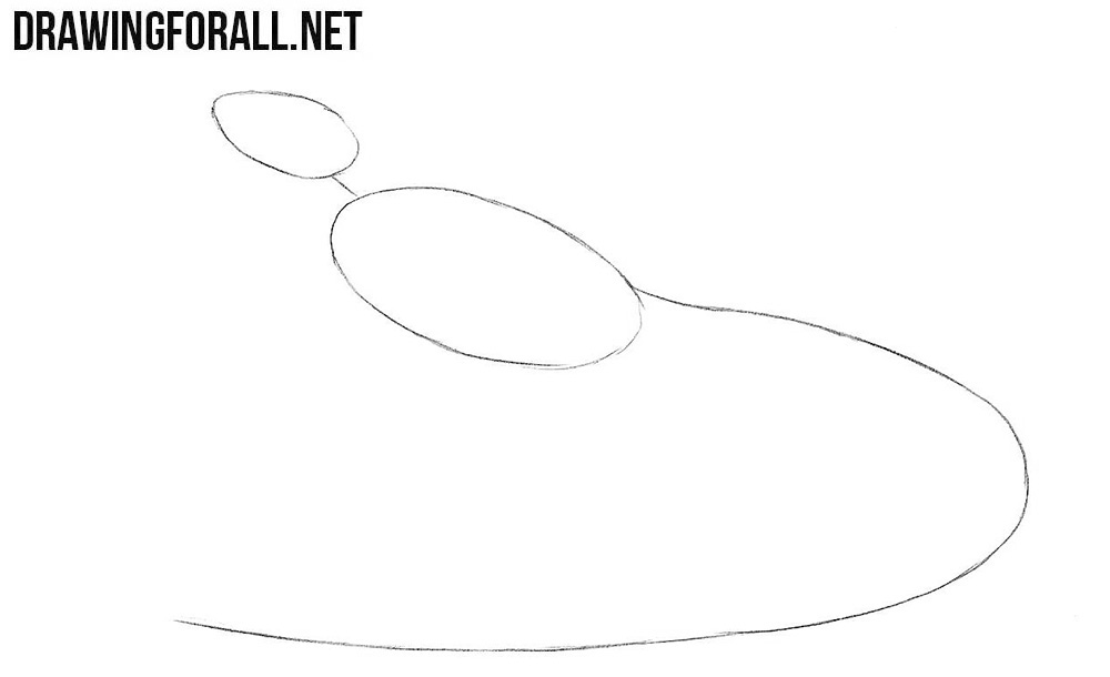How to draw a Basilisk Lizard