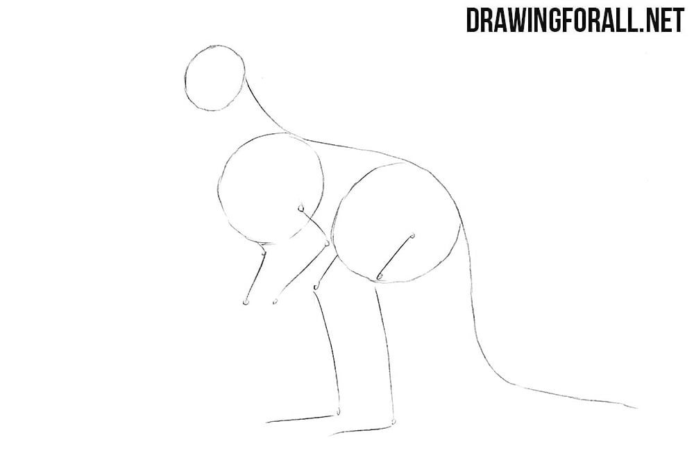 How to draw a kangaroo