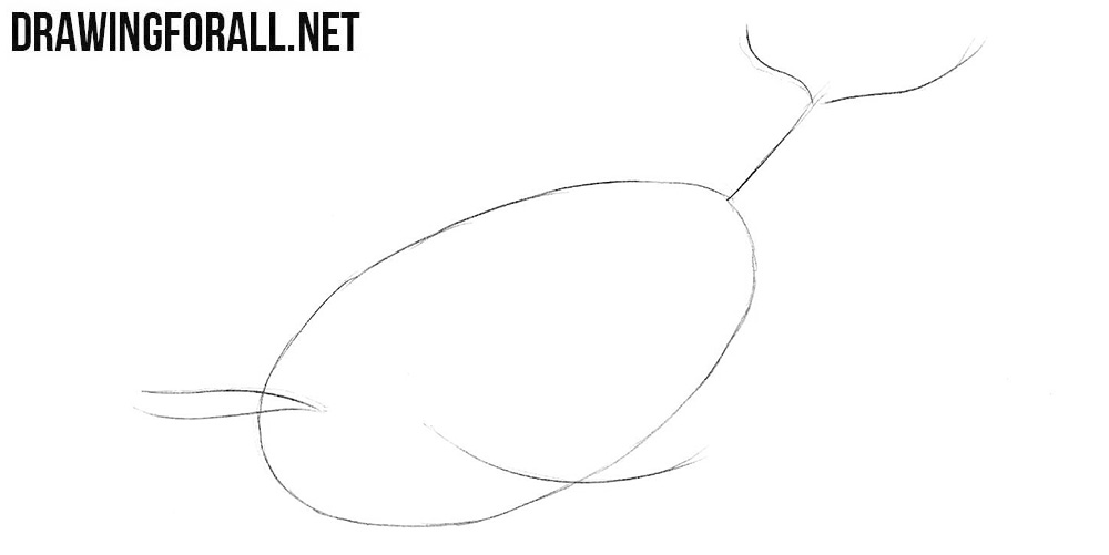 How to draw a whale