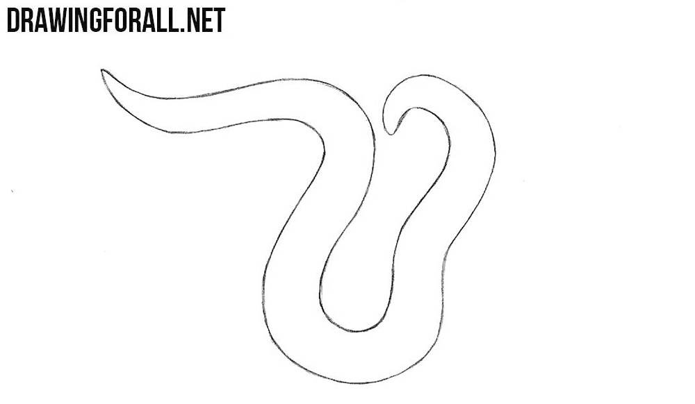 how to draw a worm