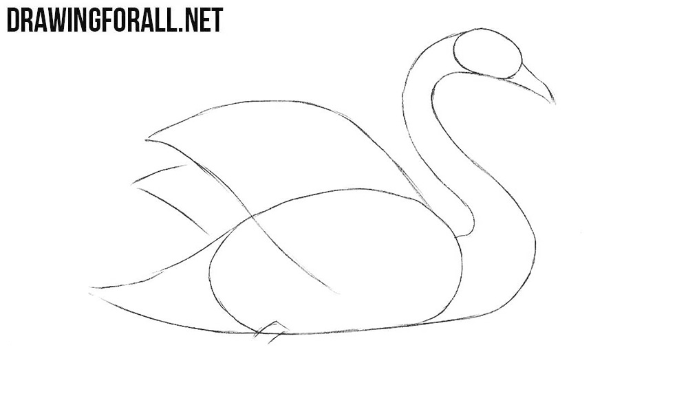 How to draw a swan step by step