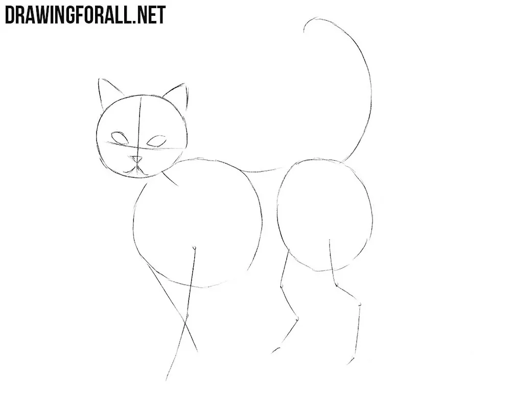 How to sketch a cat step by step
