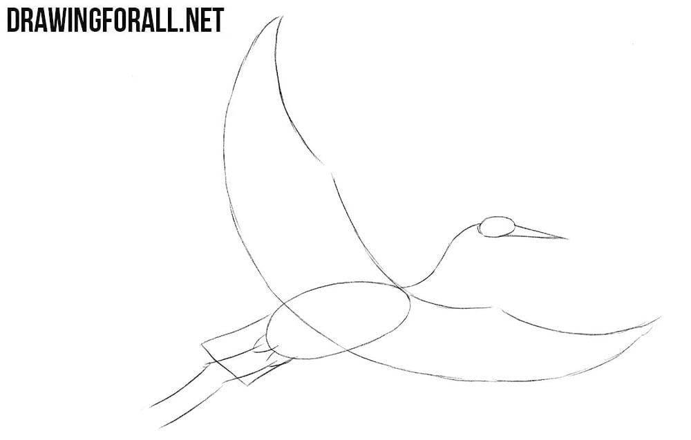 How to sketch a crane bird