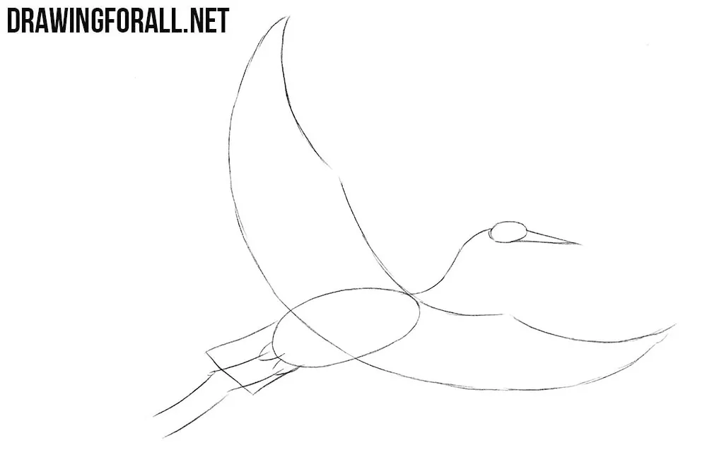 How to sketch a crane bird