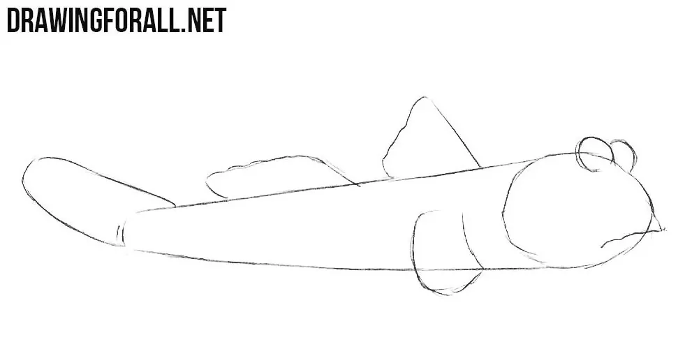 How to sketch a periophthalmus step by step