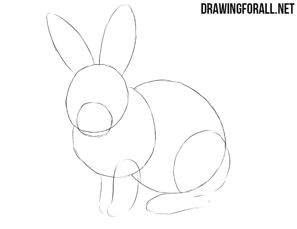 Learn how to draw a rabbit step by step