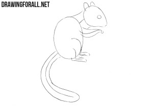 How to Draw a Chipmunk