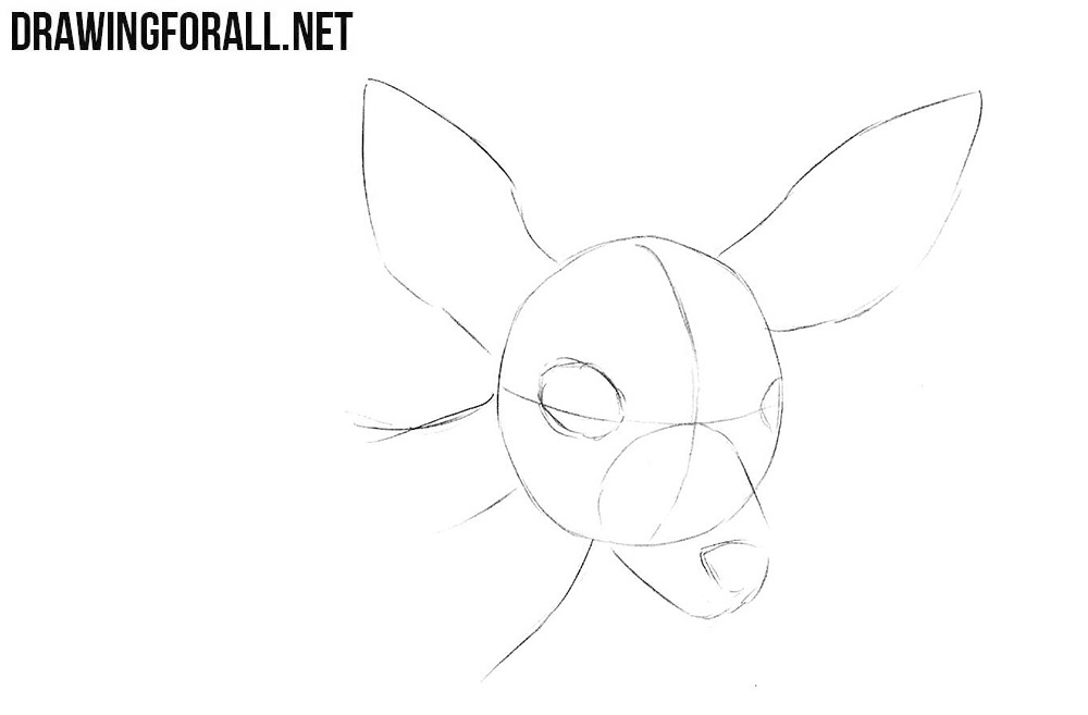 Learn to draw a deer head