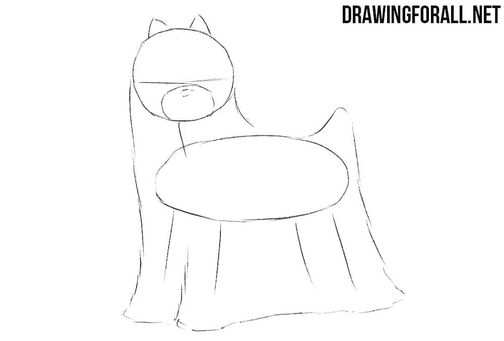 Learn to draw a dog