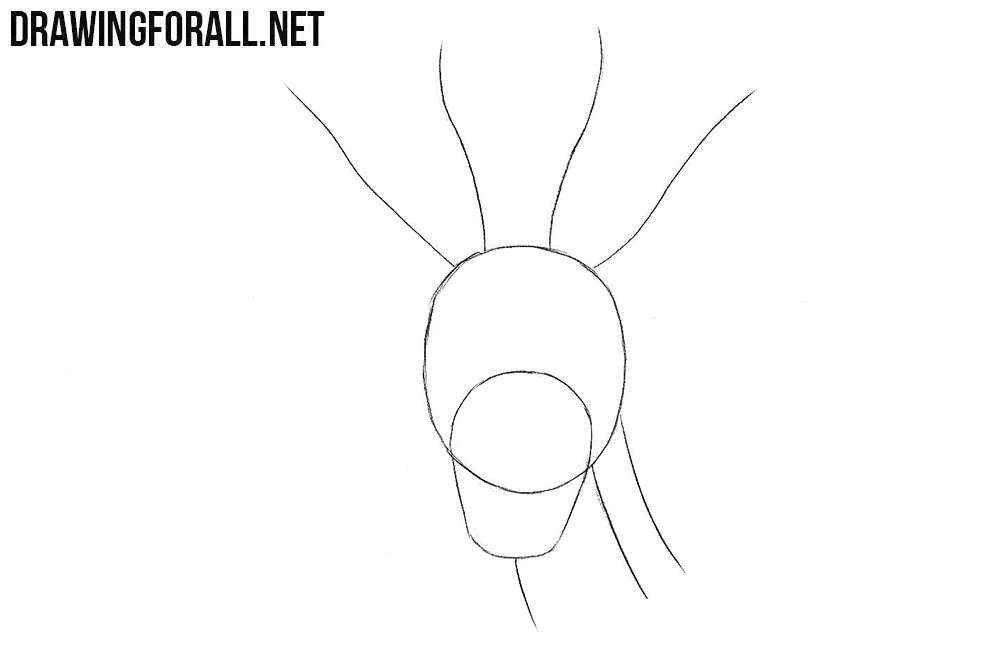 Learn to draw a gazelle head
