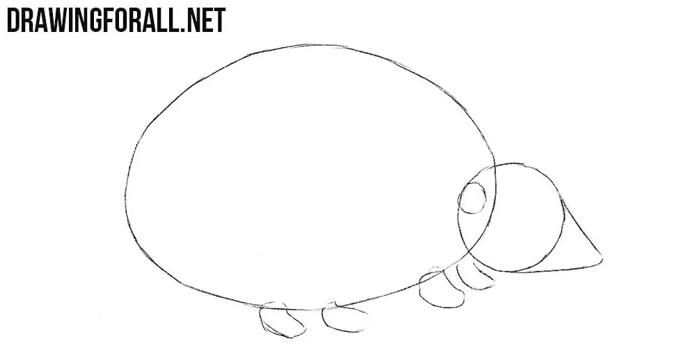 Learn to draw a hedgehog