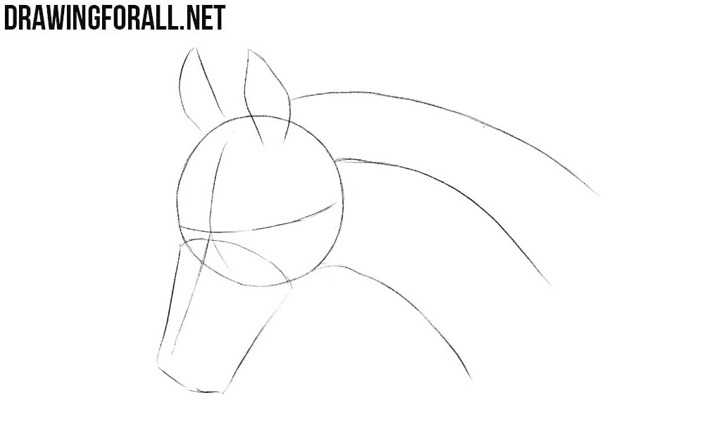 Learn to draw a horse head