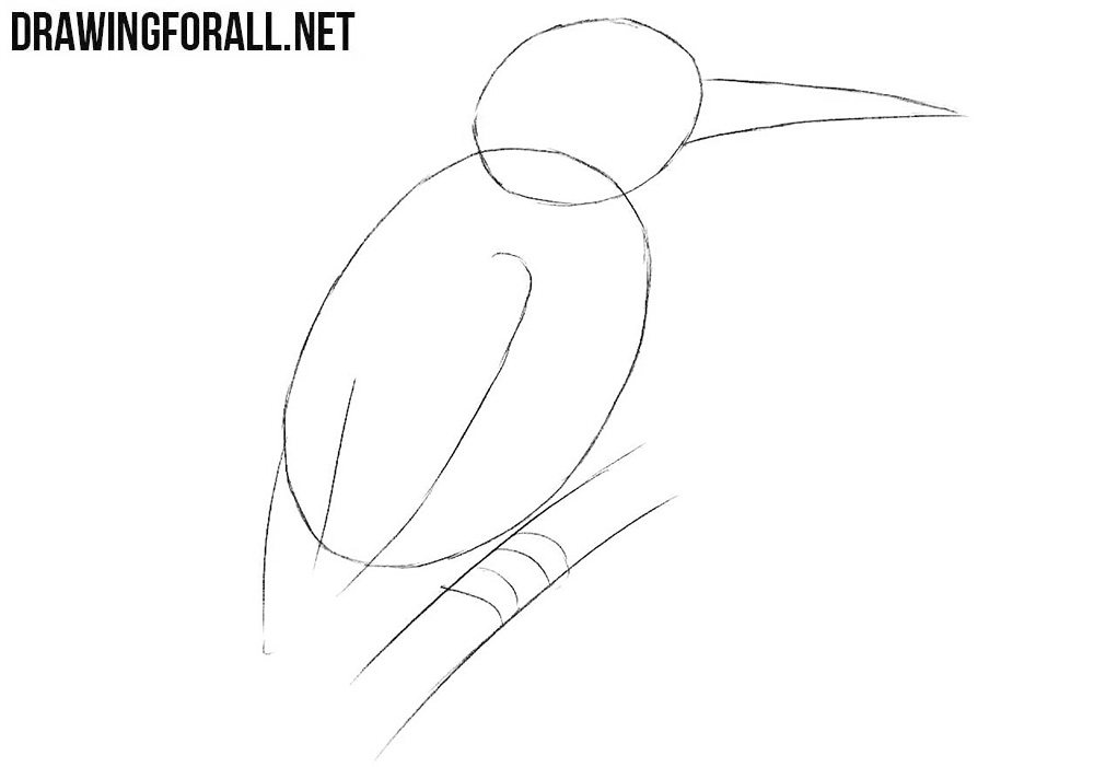 Learn to draw a kingfisher