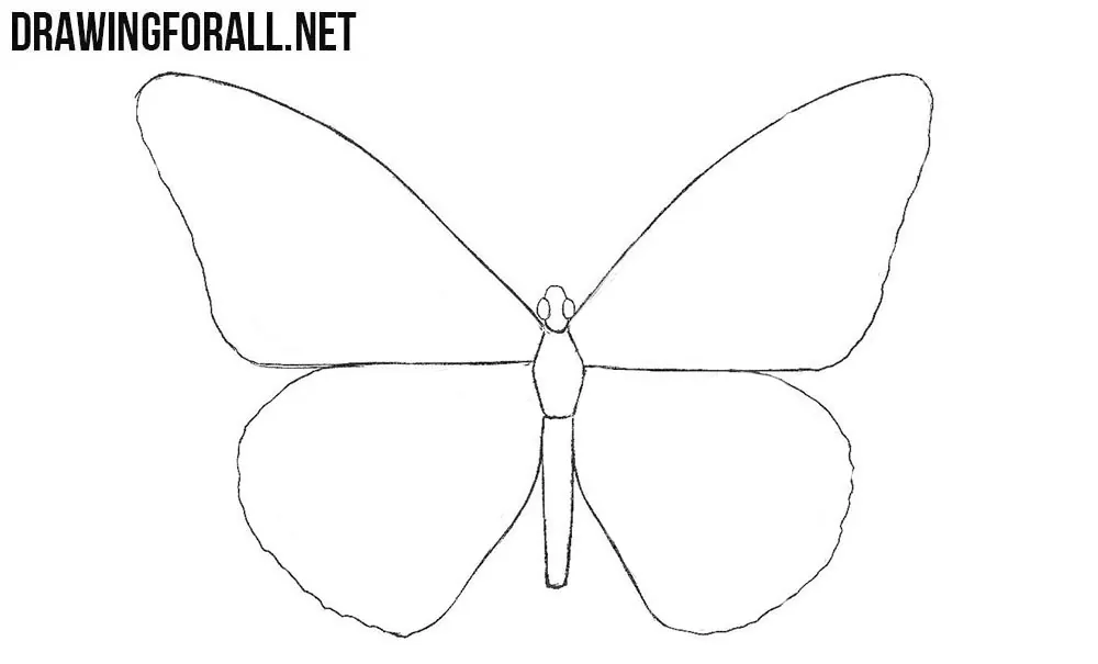 How to draw a butterfly