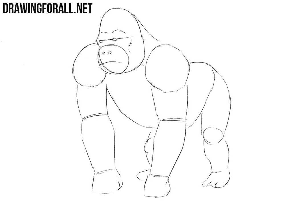 How to draw a gorilla step by step