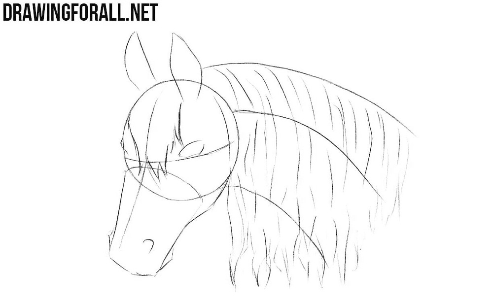 How to draw a horse head step by step