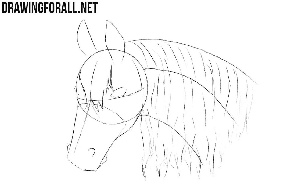 How to draw a horse head step by step | Drawingforall.net