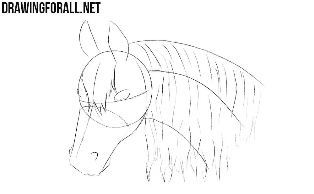 How to draw a horse head step by step