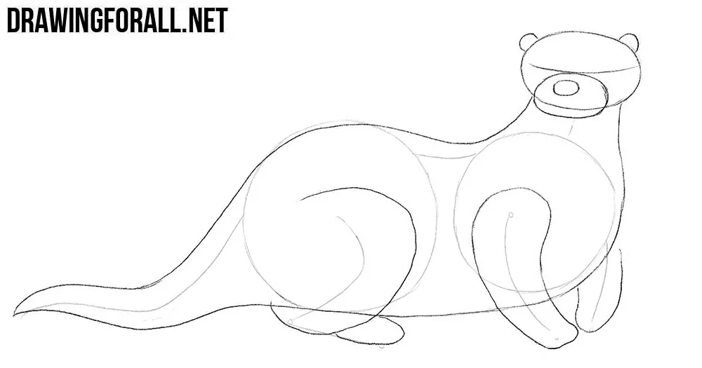 How to sketch a otter step by step