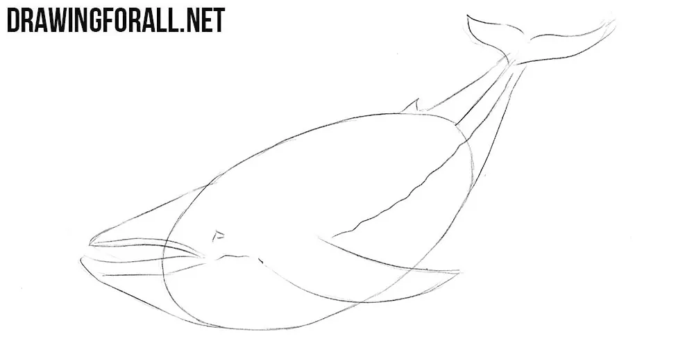 How to sketch a whale