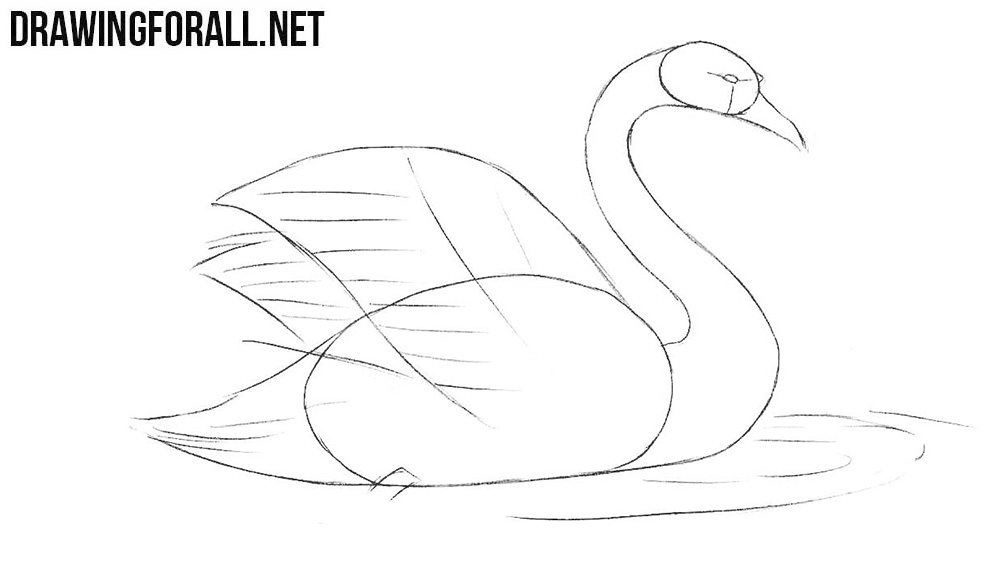 Learn to draw a swan