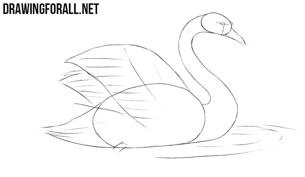 How to draw Swans of Love! Real Easy for Valentine's Day - YouTube