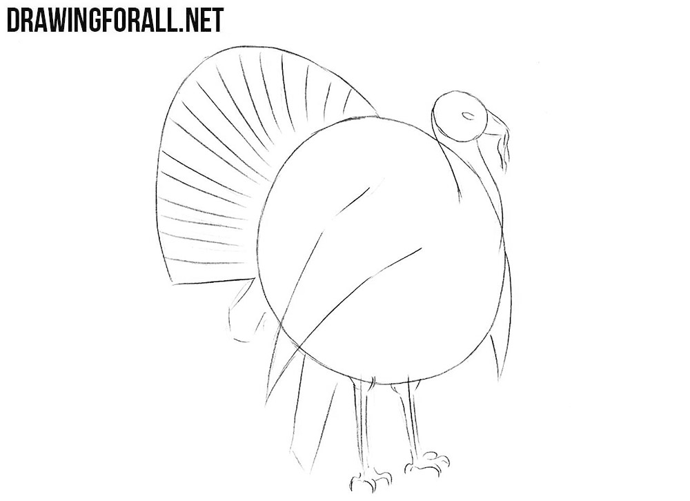 Learn to draw a turkey step by step