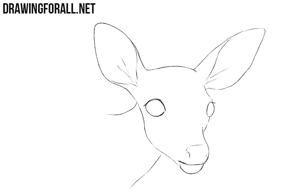 How to draw a little deer