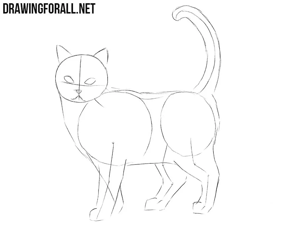 How to draw a realistic cat