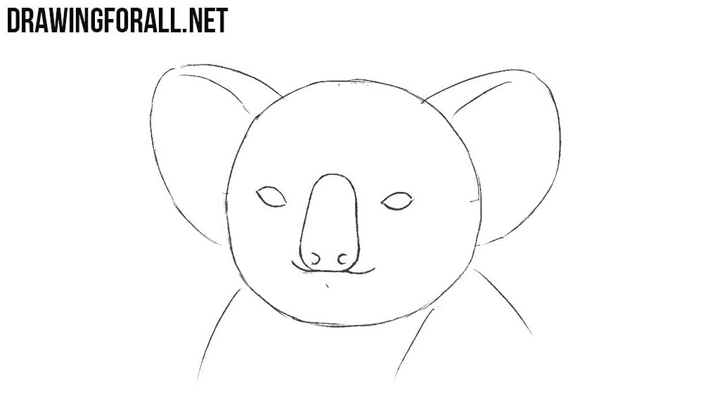 How to draw animal