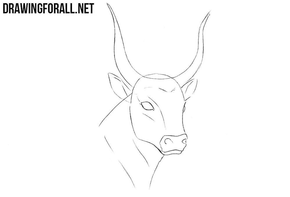 How to sketch a bull head step by step