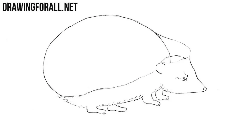 How to sketch a hedgehog step by step