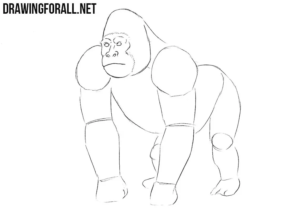 Learn to draw a gorilla