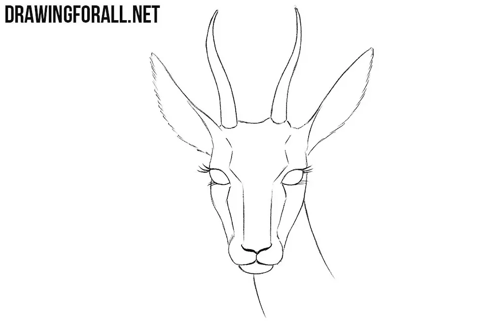 Gazelle head drawing tutorial