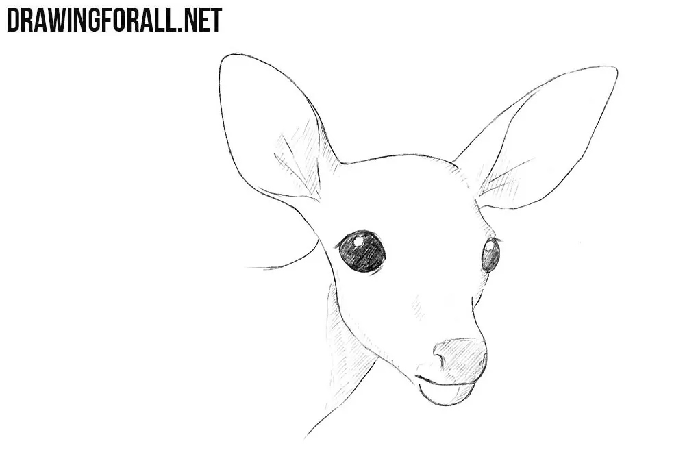 How to draw a deer head