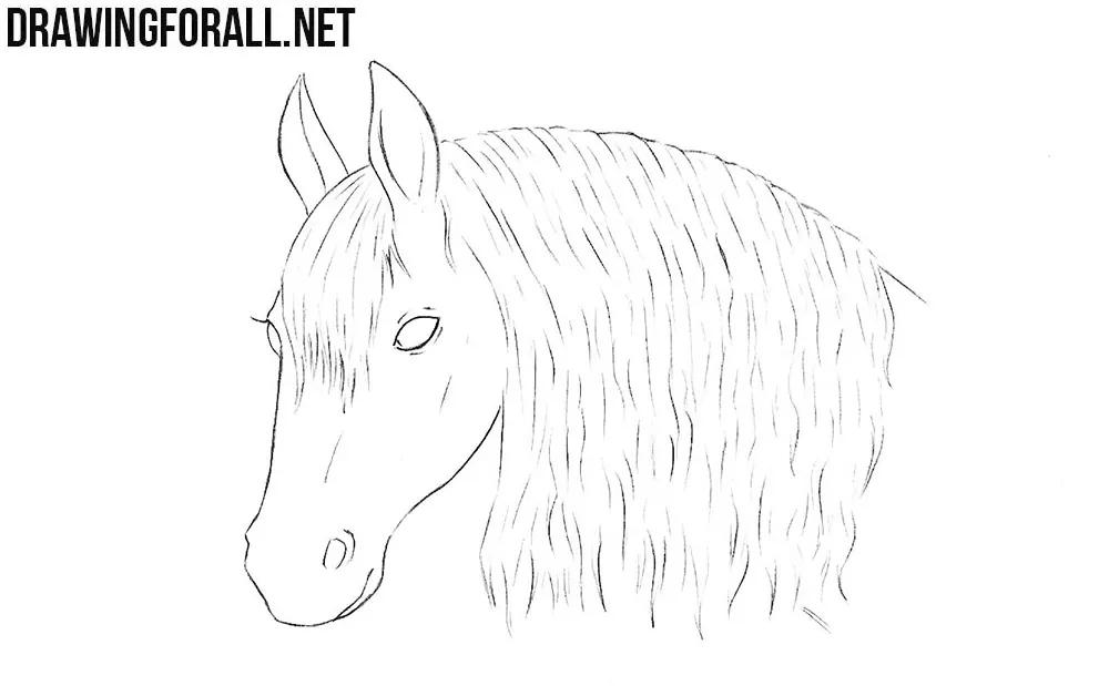 How to draw a horse head
