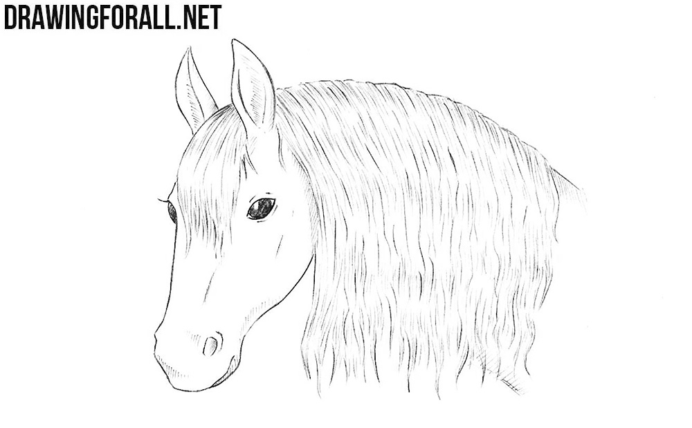 How to draw a horse head