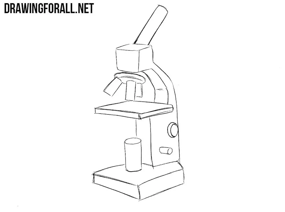 How to sketch a microscope step by step