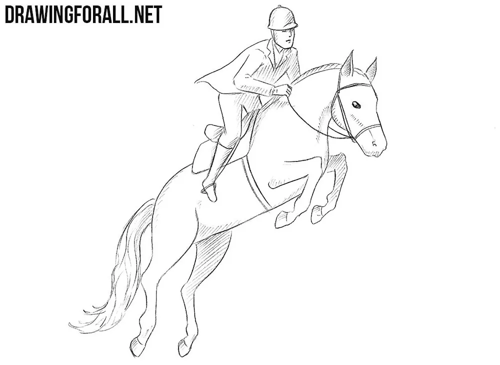 20,300+ Horse Rider Illustrations, Royalty-Free Vector Graphics & Clip Art  - iStock | Horse rider icon, Young horse rider, Horse rider silhouette