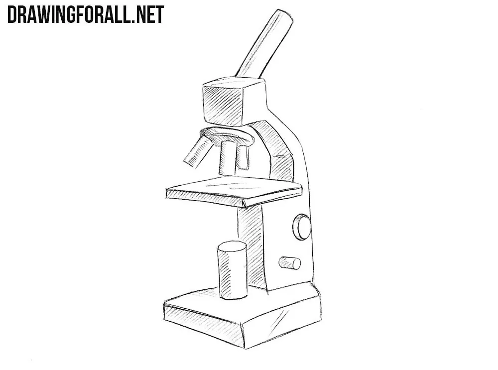 parts of a light microscope – NLM Musings from the Mezzanine