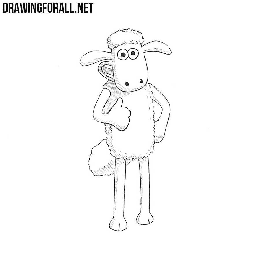 Featured image of post Cartoon Sheep Drawing Easy : How to draw a sheep easy and step by step.